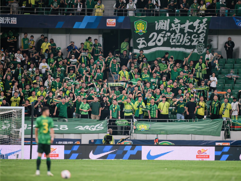 羽毛球作为 羽毛球作为