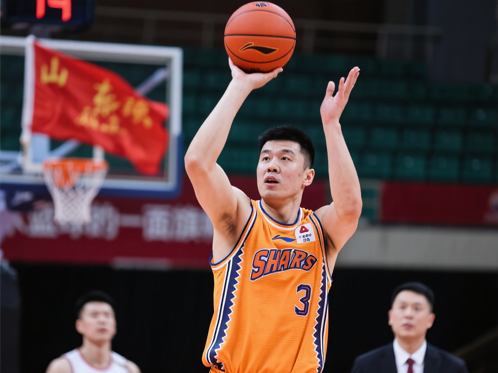 显得更加专 显得更加专